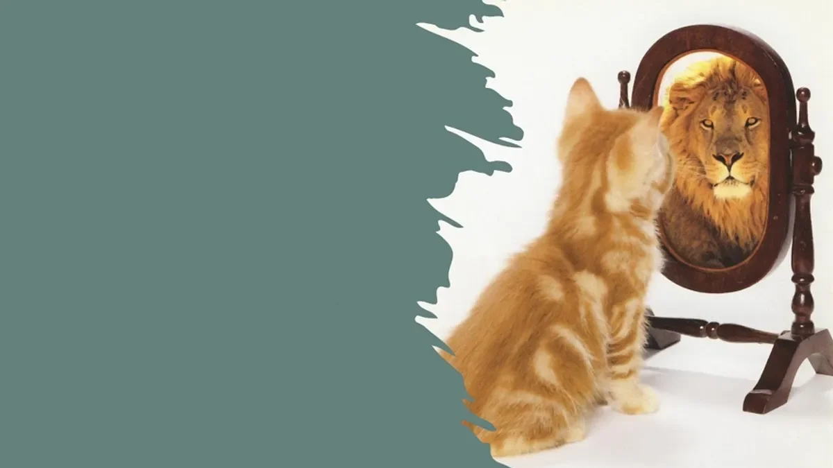 Algı, Algılama Algının Gizemli Dünyası, Çevremizi Nasıl Anlamlandırırız?